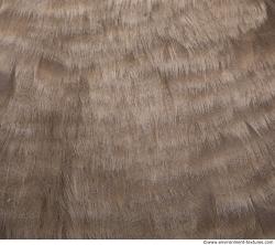 Photo Textures of Animal Skin